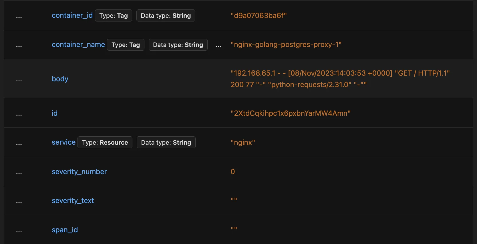 Raw Nginx Log